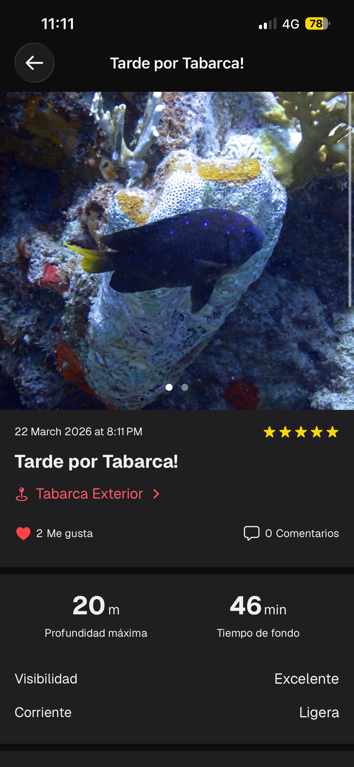 Detalle de inmersión con valoración