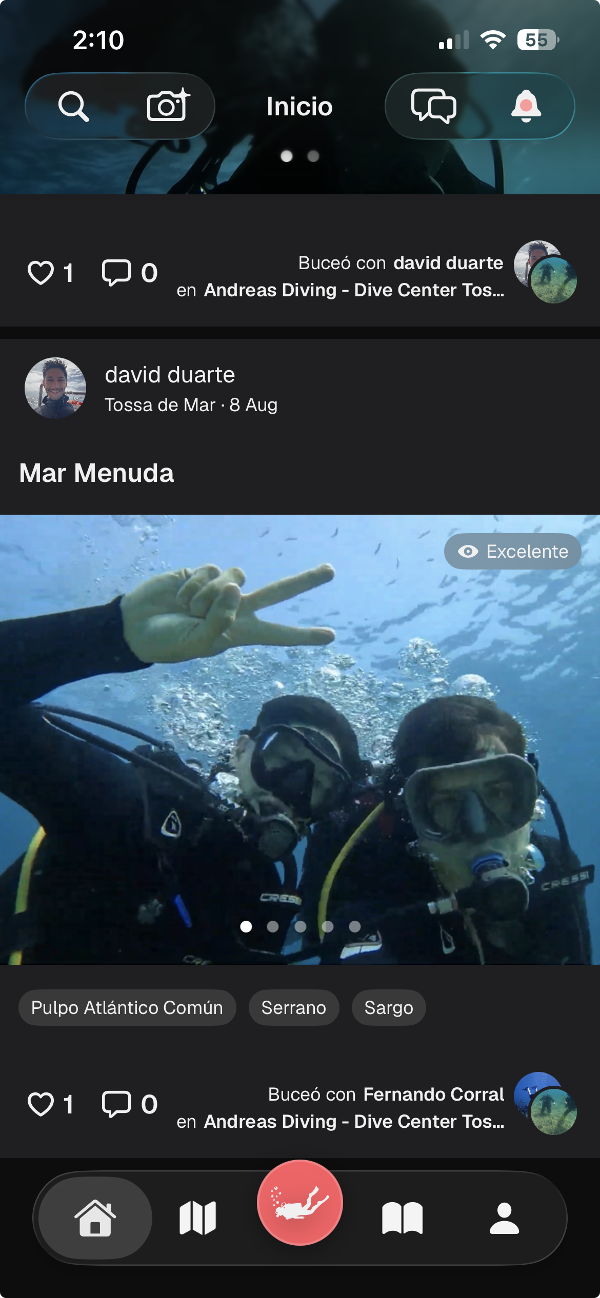 Feed social de buceadores