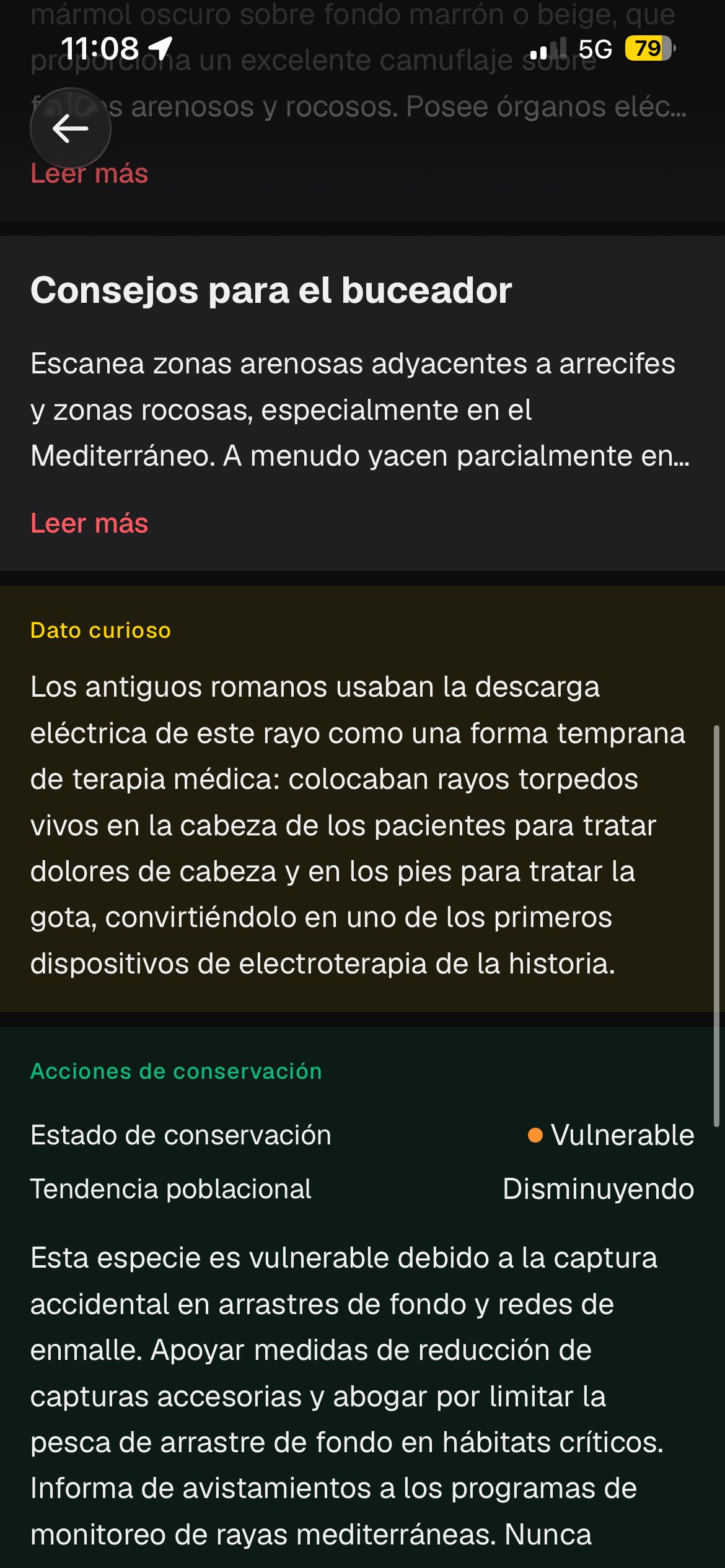 Estado de conservación UICN y consejos para buceadores