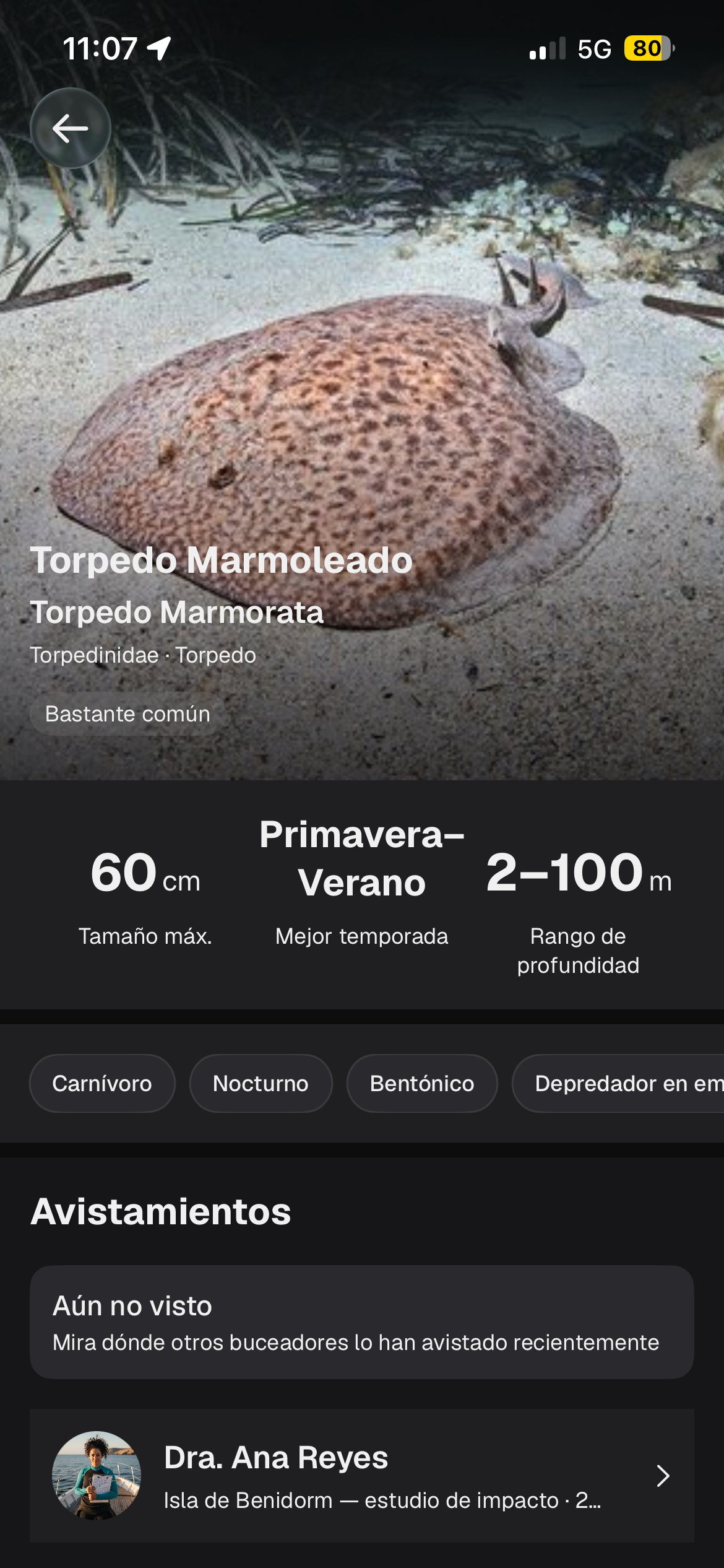 Detalle de especie marina con tamaño, profundidad y temporada